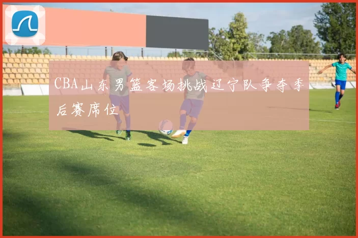 CBA山东男篮客场挑战辽宁队争夺季后赛席位