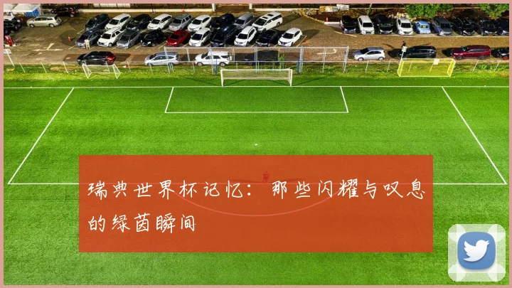 瑞典世界杯记忆：那些闪耀与叹息的绿茵瞬间