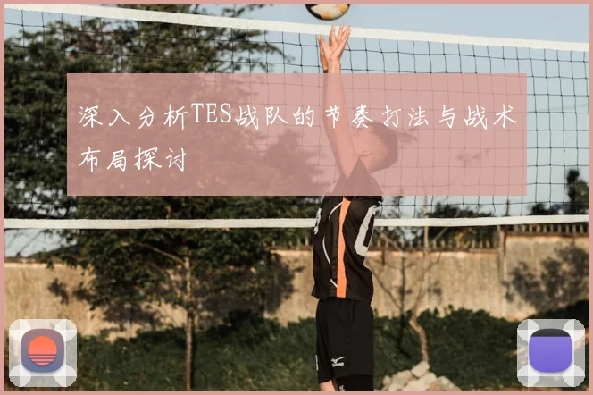 深入分析TES战队的节奏打法与战术布局探讨