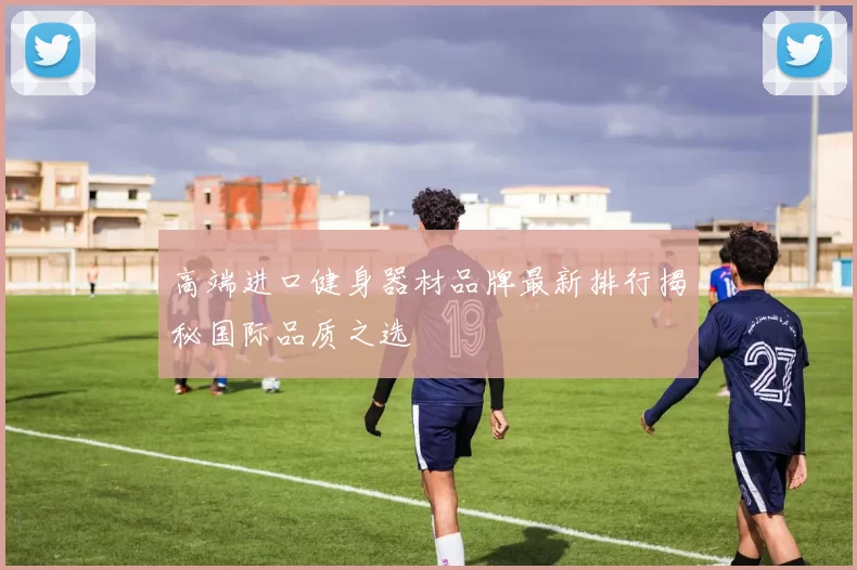 高端进口健身器材品牌最新排行揭秘国际品质之选