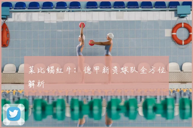 莱比锡红牛：德甲新贵球队全方位解析