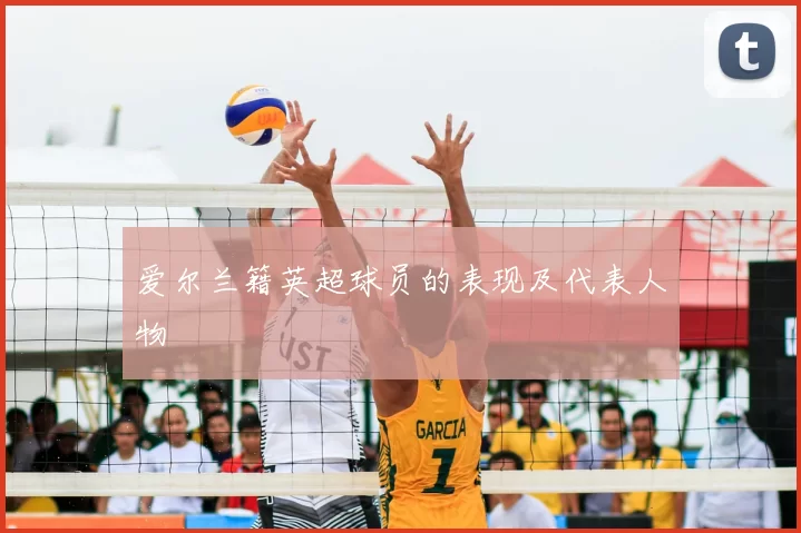 爱尔兰籍英超球员的表现及代表人物