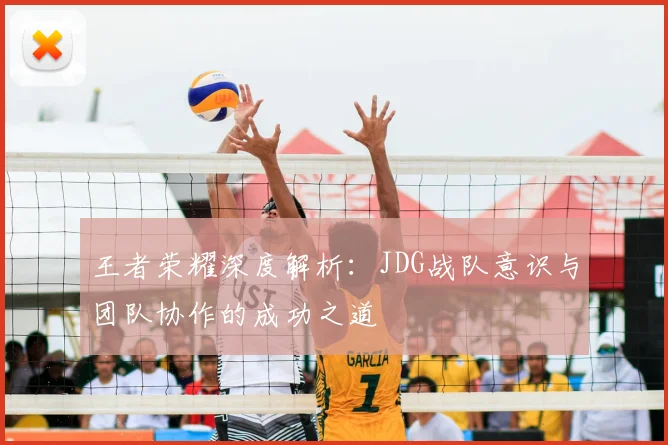 王者荣耀深度解析:JDG战队意识与团队协作的成功之道