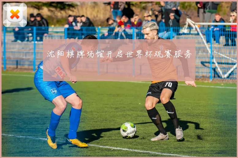 沈阳棋牌场馆开启世界杯观赛服务