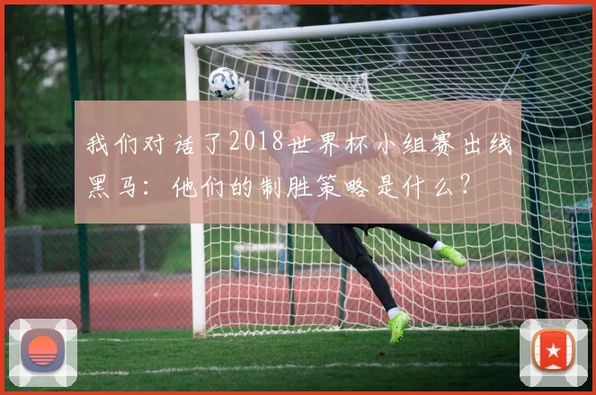 我们对话了2018世界杯小组赛出线黑马:他们的制胜策略是什么?