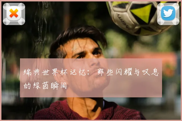 瑞典世界杯记忆：那些闪耀与叹息的绿茵瞬间
