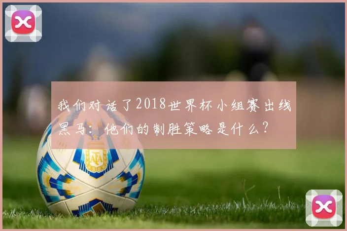 我们对话了2018世界杯小组赛出线黑马:他们的制胜策略是什么?