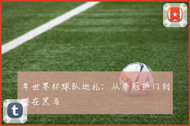 年世界杯球队巡礼:从夺冠热门到潜在黑马