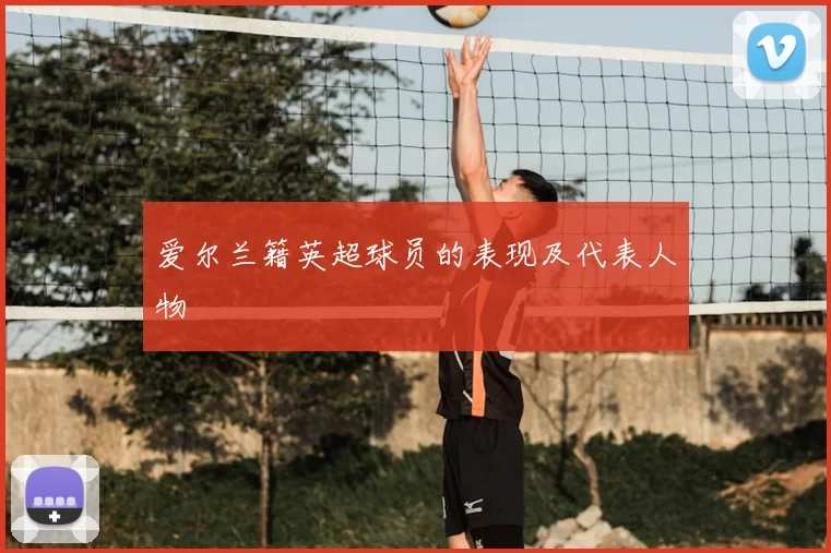 爱尔兰籍英超球员的表现及代表人物