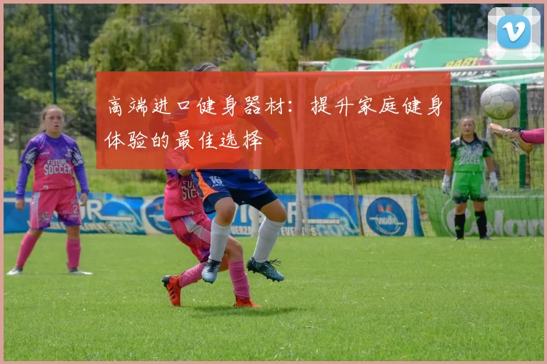 高端进口健身器材：提升家庭健身体验的最佳选择