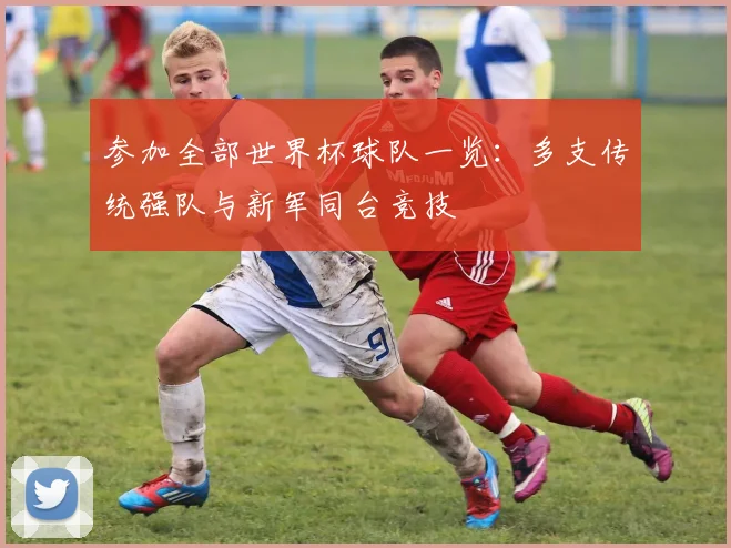 参加全部世界杯球队一览:多支传统强队与新军同台竞技